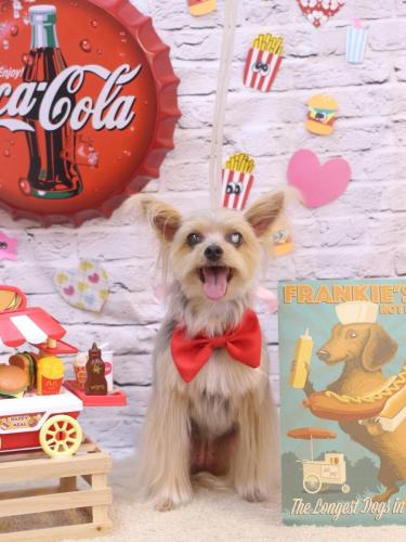 20230930ココちゃん